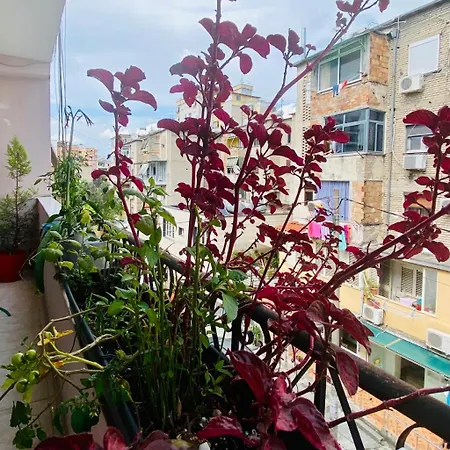 Pensión Apartment Tirana