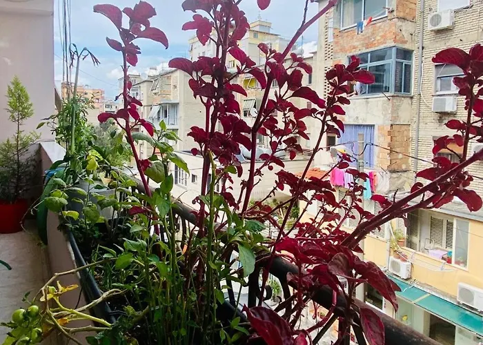 Pensión Apartment Tirana